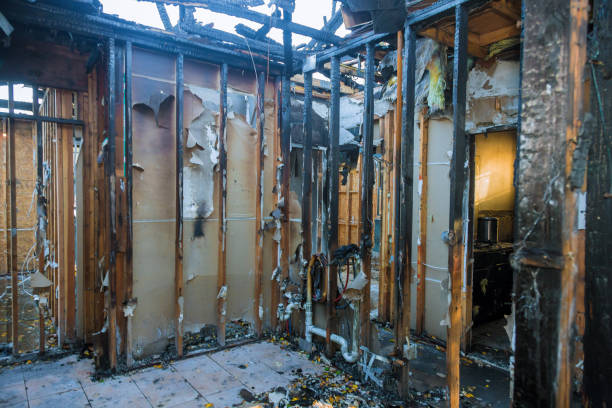 Professional Smoke Damage Removal technician working in Lake View, AL